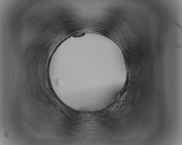 X0000091200289200709061418