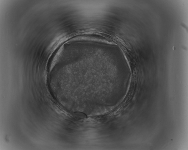 X0000091200290200709061418