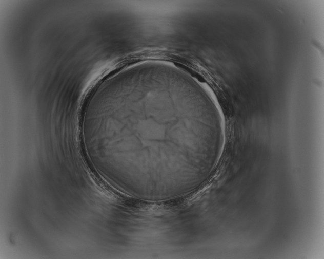 X0000091200293200709061418