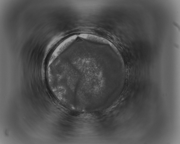 X0000091200294200709061418