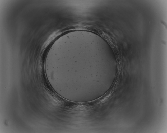 X0000091200295200709061418