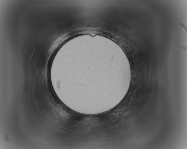 X0000091200296200709061418