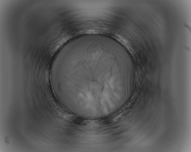 X0000091200297200709061418