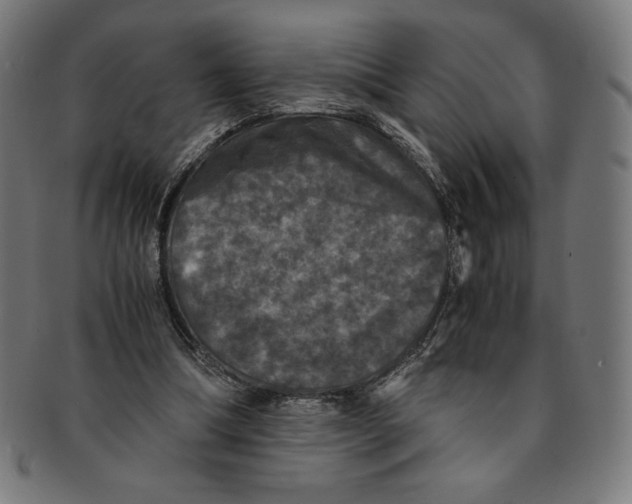 X0000091200298200709061418