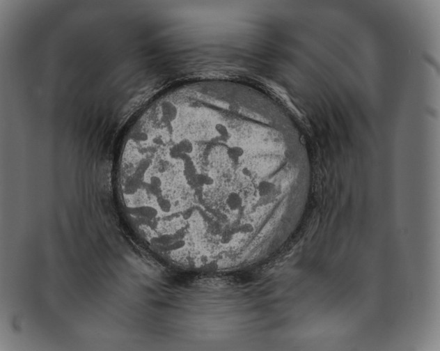X0000091200299200709061418