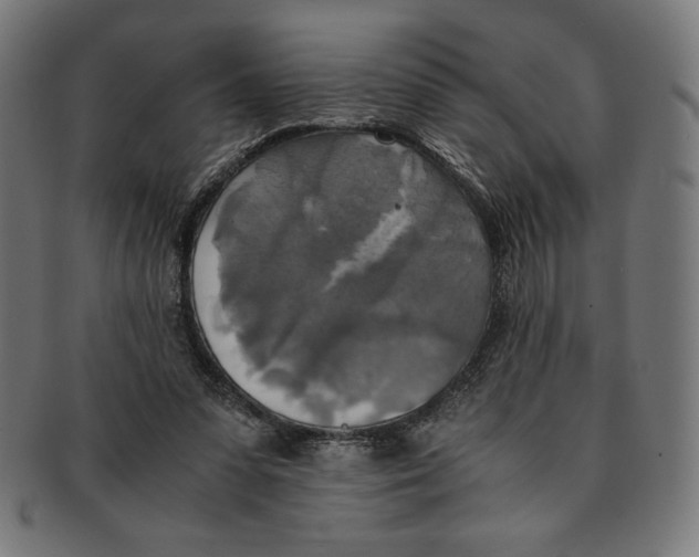 X0000091200303200709061418