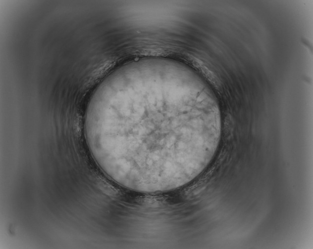 X0000091200305200709061418