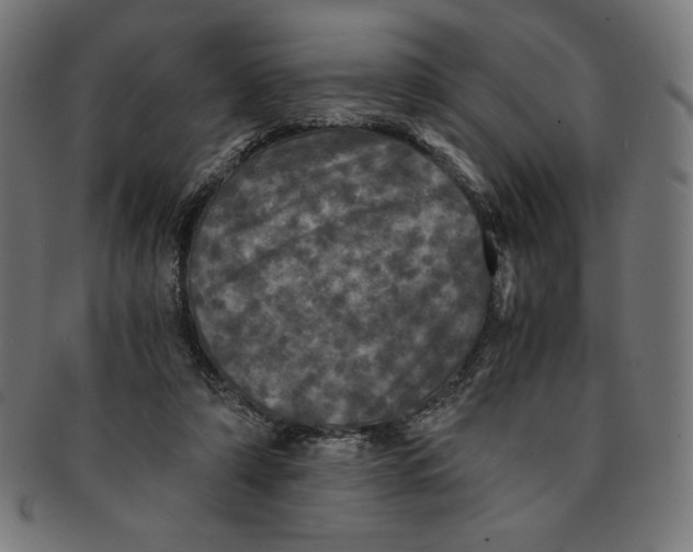 X0000091200306200709061418