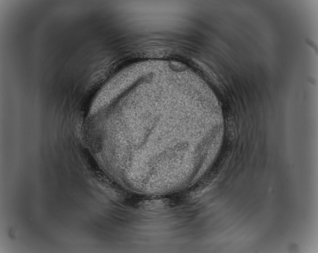 X0000091200307200709061418