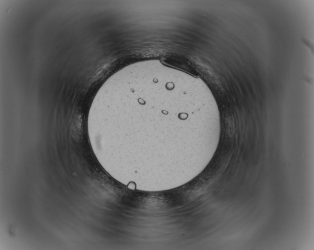 X0000091200308200709061418