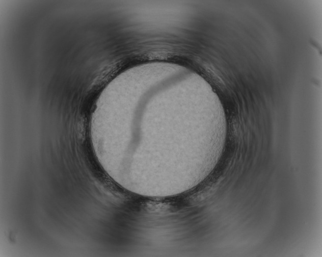 X0000091200311200709061418