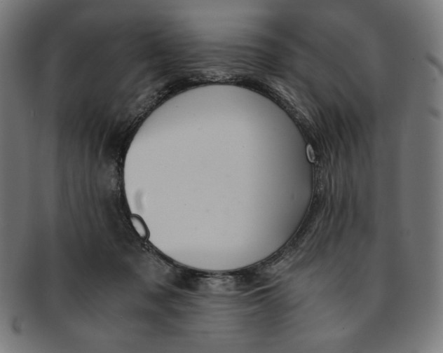 X0000091200317200709061418