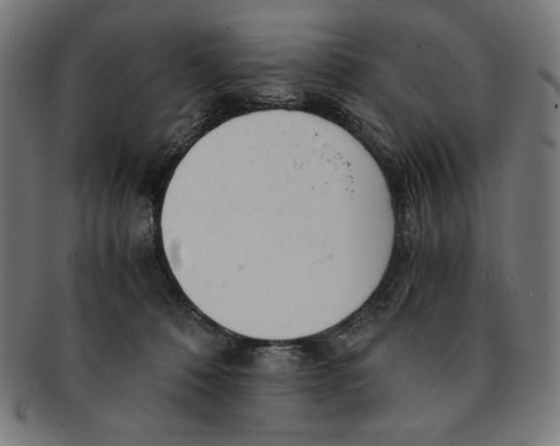 X0000091200320200709061418