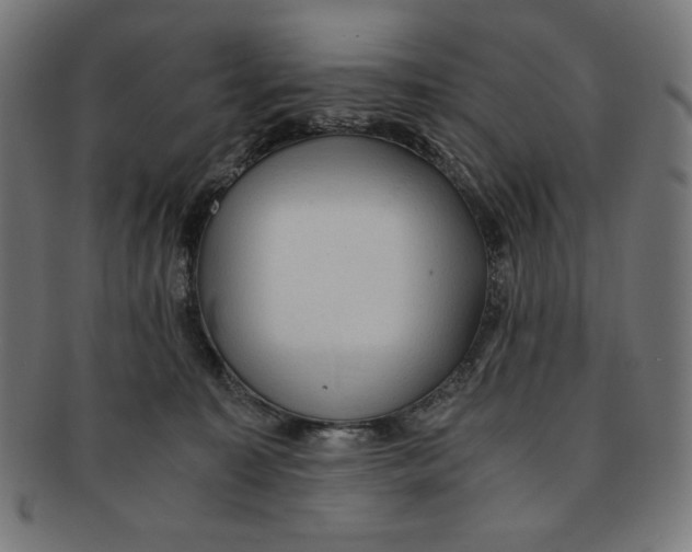 X0000091200323200709061418