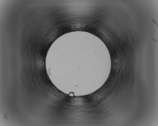 X0000091200324200709061418