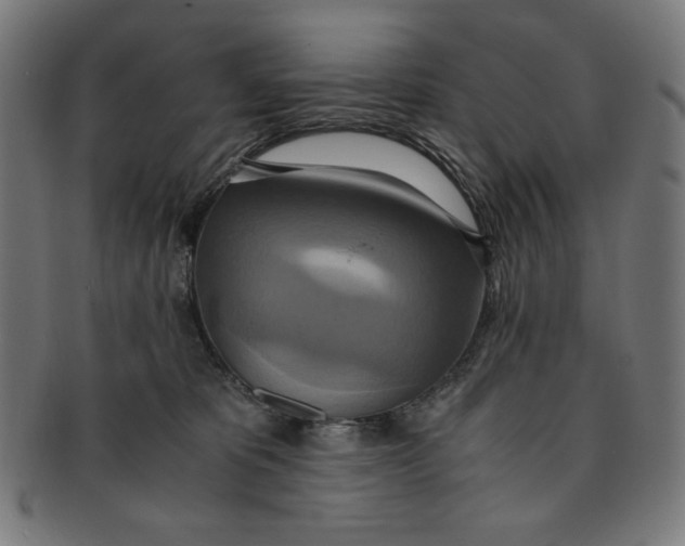 X0000091200325200709061418