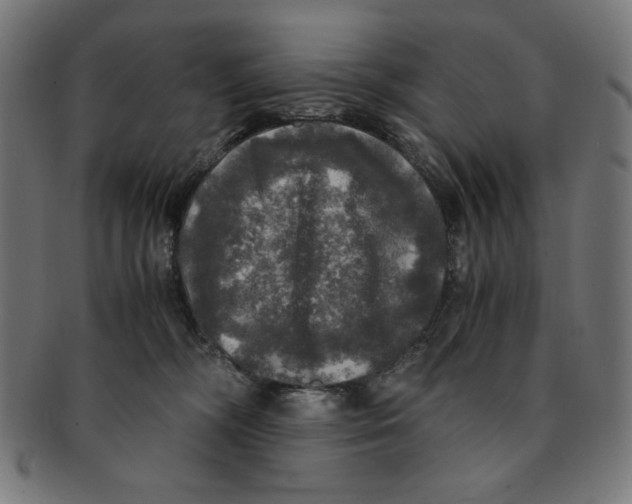 X0000091200326200709061418