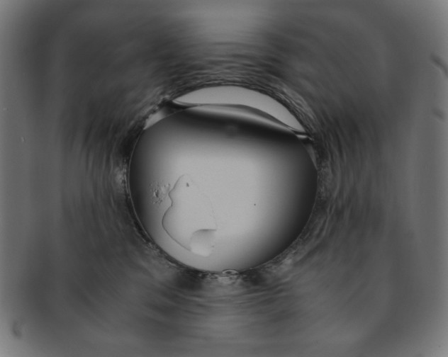 X0000091200329200709061418