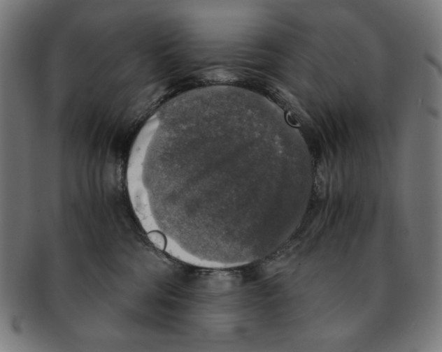 X0000091200330200709061418