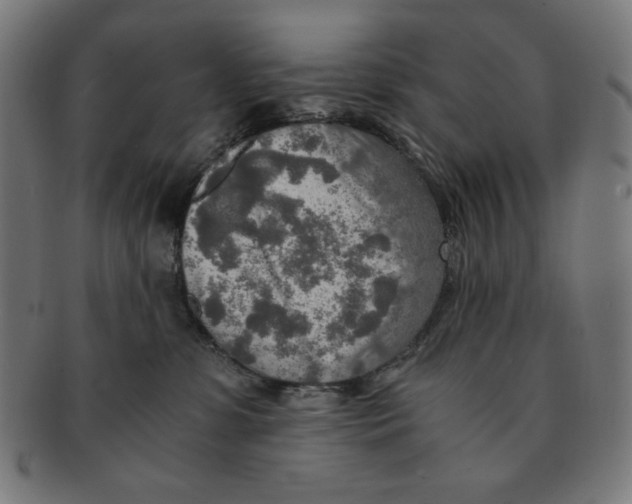 X0000091200331200709061418