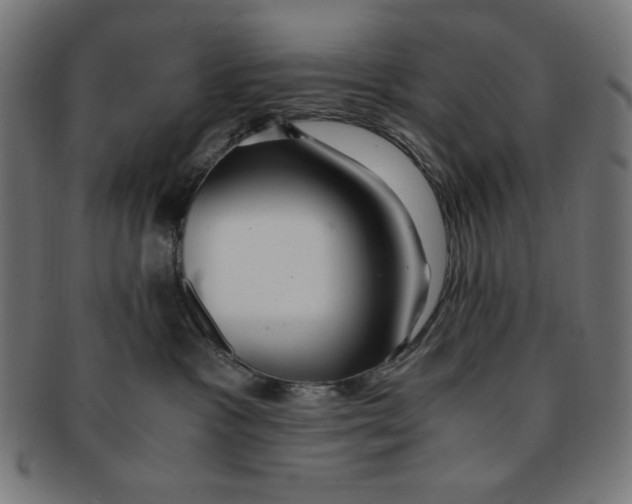X0000091200333200709061418