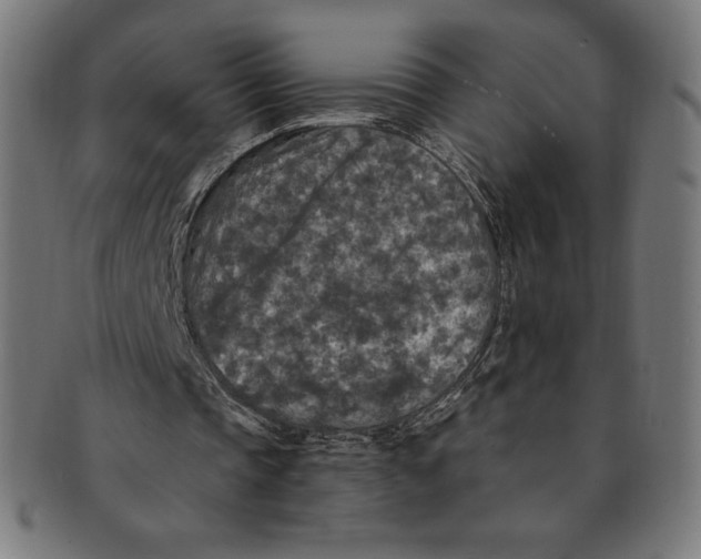 X0000091200337200709061417