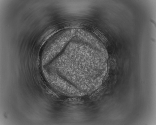 X0000091200338200709061417