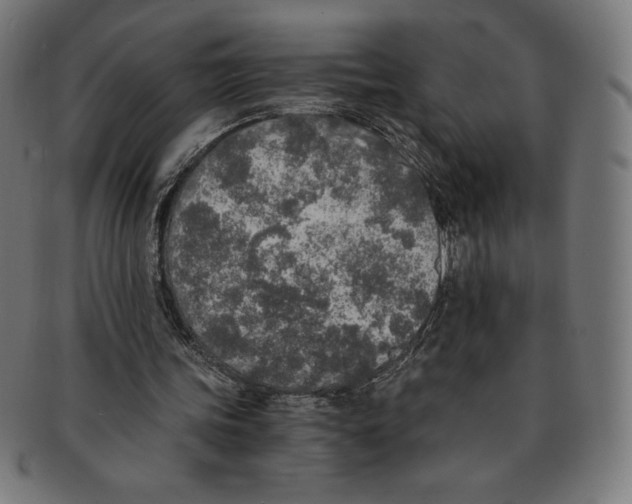 X0000091200339200709061417