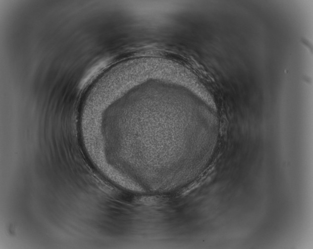 X0000091200341200709061417