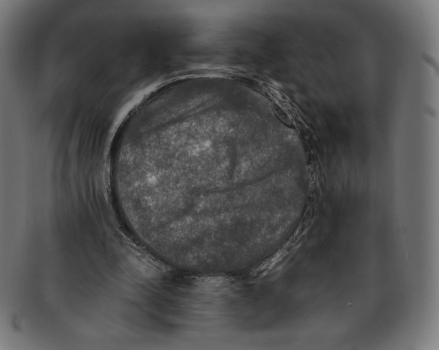 X0000091200342200709061417
