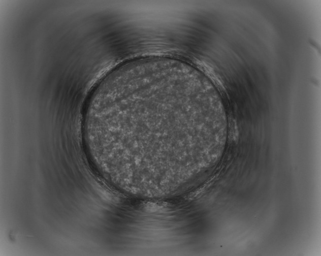 X0000091200346200709061417