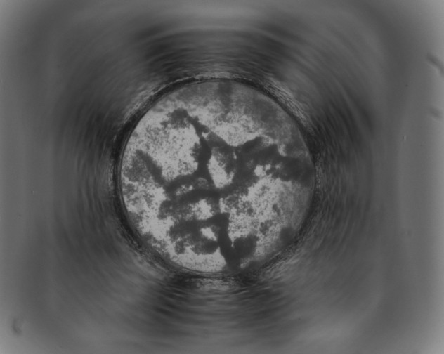 X0000091200347200709061417