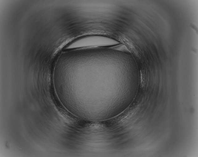 X0000091200348200709061417
