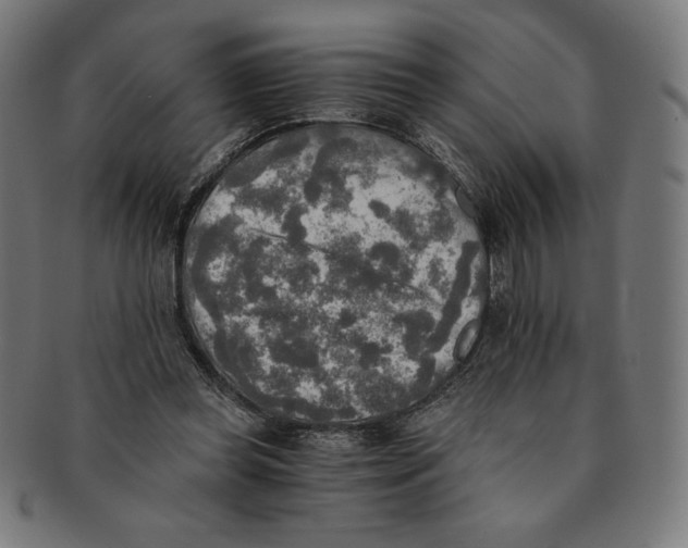 X0000091200349200709061417
