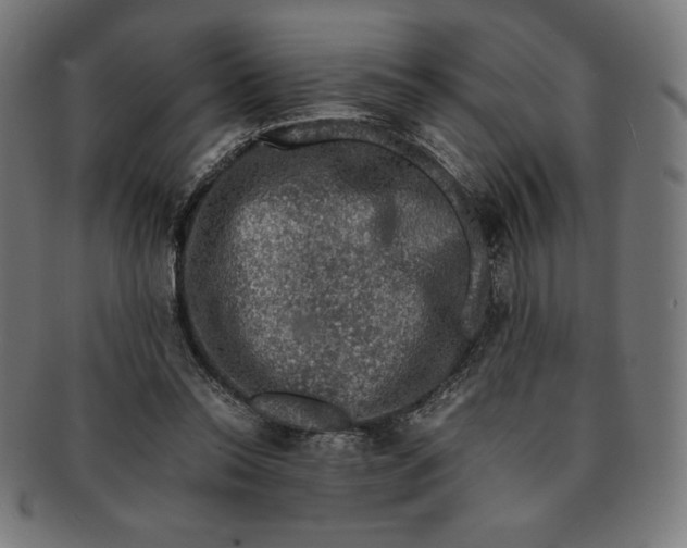 X0000091200350200709061417