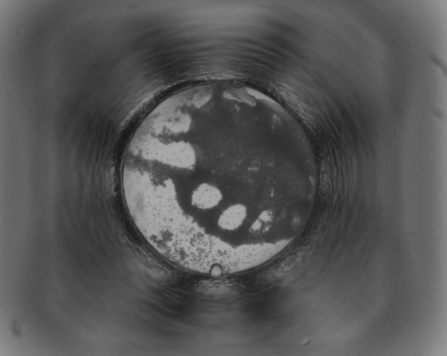 X0000091200351200709061417