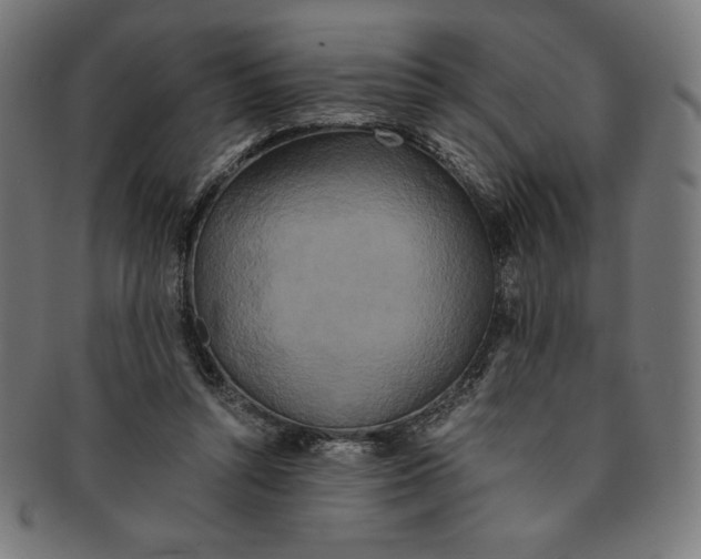 X0000091200352200709061417