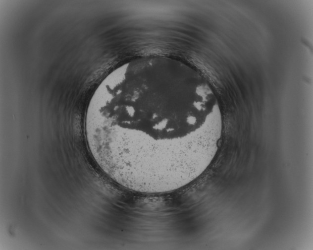 X0000091200353200709061417