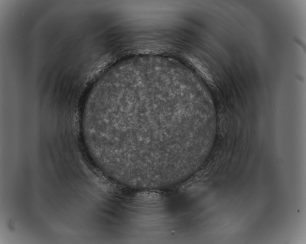 X0000091200354200709061417