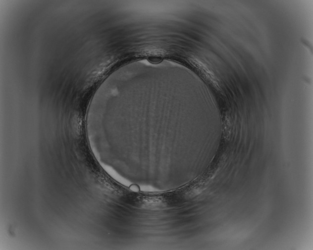 X0000091200355200709061417