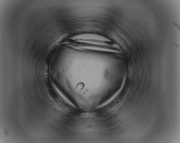 X0000091200356200709061417