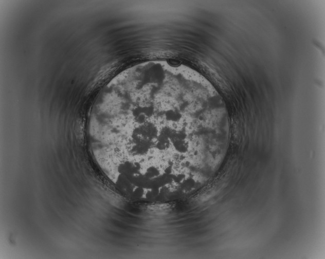 X0000091200357200709061417