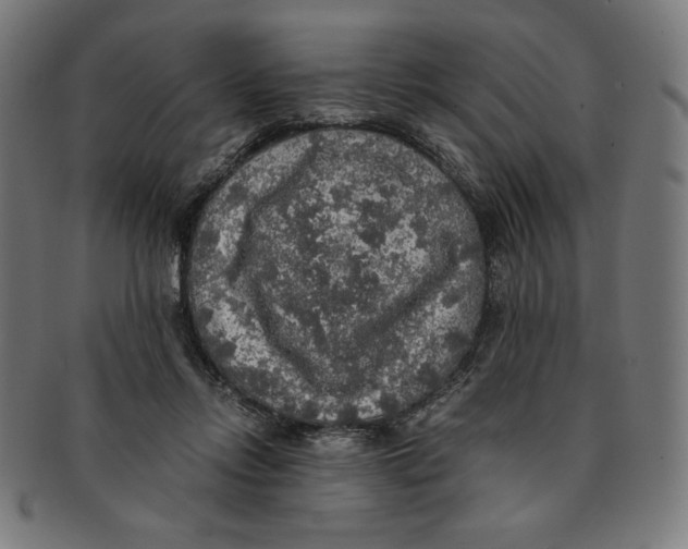 X0000091200358200709061417