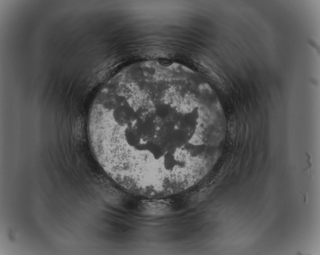 X0000091200359200709061417