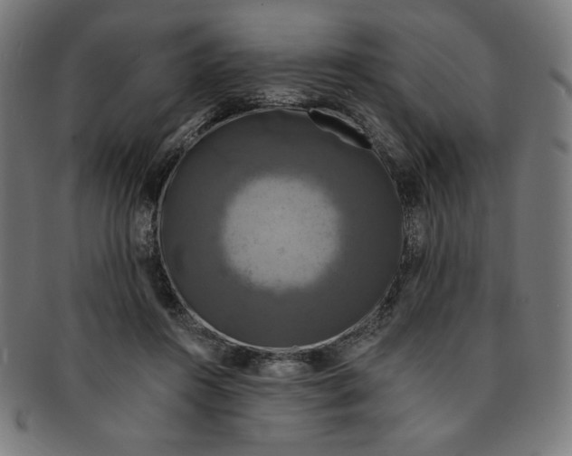 X0000091200360200709061417