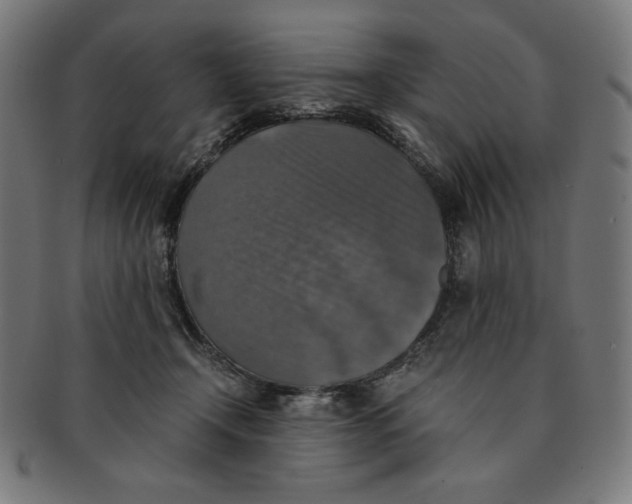 X0000091200366200709061418