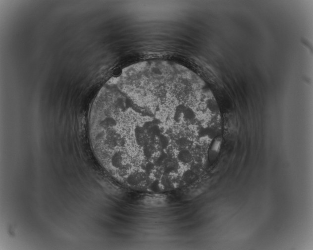X0000091200369200709061418