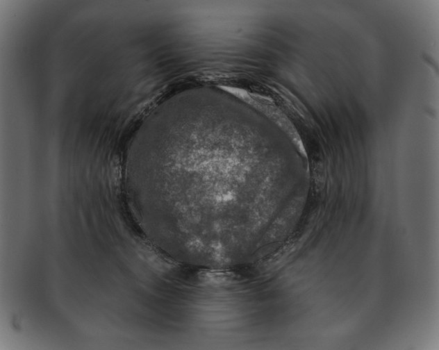 X0000091200372200709061418