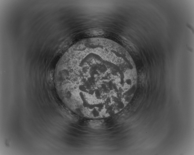 X0000091200373200709061418