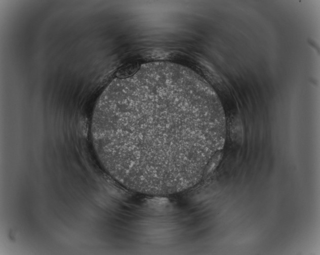 X0000091200374200709061418